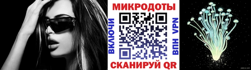 цена   Бавлы  Псилоцибиновые грибы Cubensis 