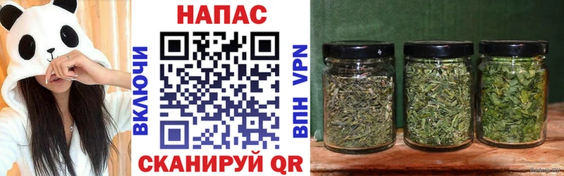 как найти наркотики  Бавлы  Канабис планчик 